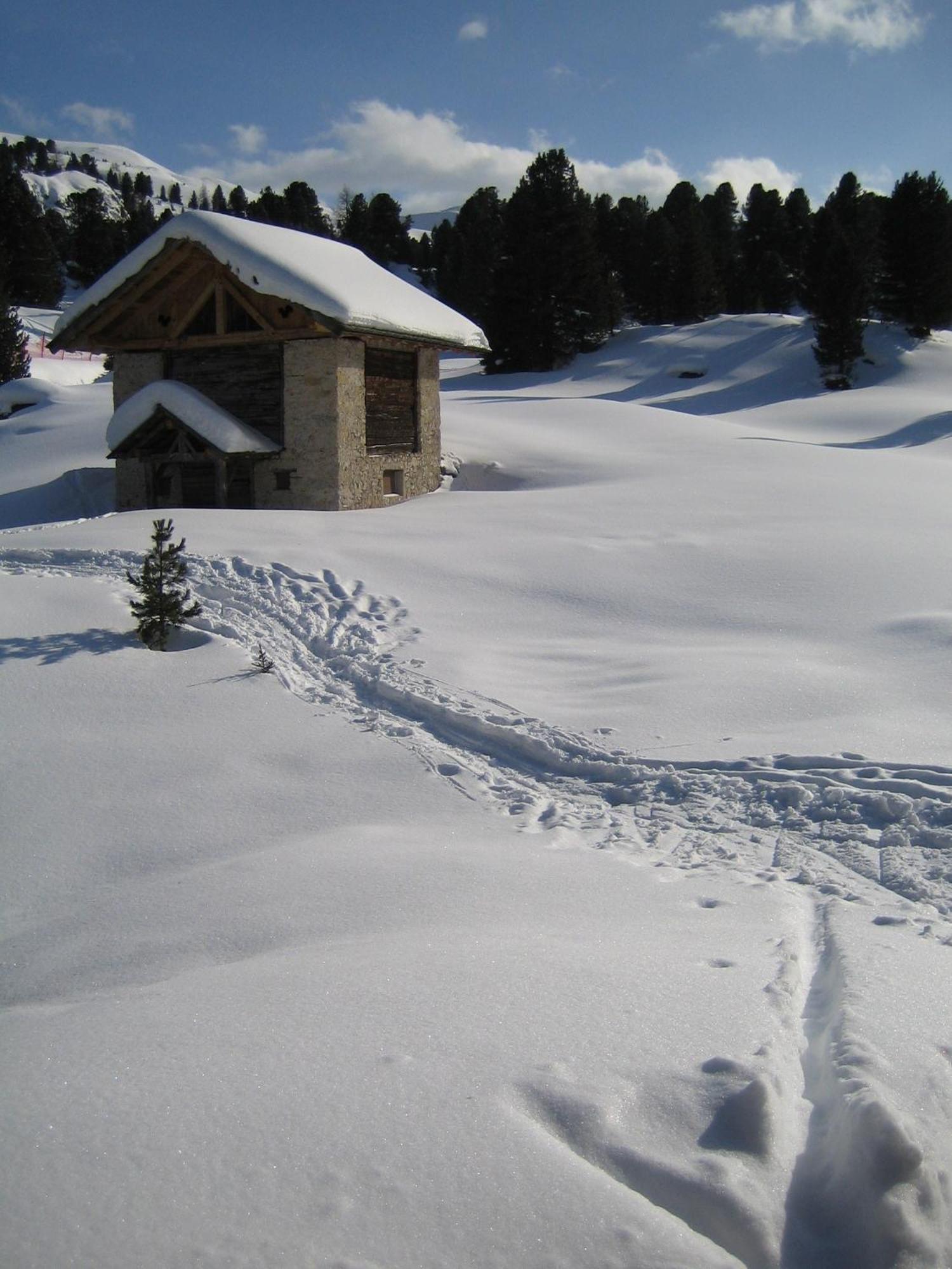 Chalet Elisabeth Dolomites Alpin & Charme Selva di Val Gardena Exterior foto